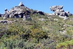 Kapstadt: Wanderung auf dem Tafelberg
